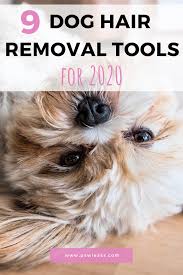 9 Dog Hair Removal Tools That Ll Change Your Life In 2020 Pawleaks Dog Hair Removal Dog Hair Cleaning Dog Hair