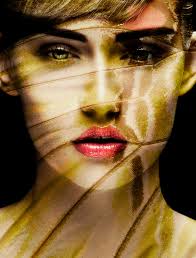 Startling Camouflaged Butterfly Portraits