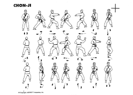 Pin On Tae Kwon Do