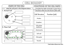 Where prokaryotes are just bacteria … Gcse Biology Cell Biology Worksheet Pack Updated Teaching Resources Biology Worksheet Cells Worksheet Cell Parts