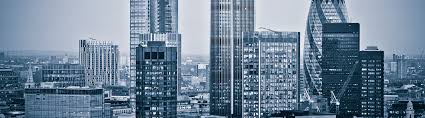 The principles of business information systems management. The True Potential Centre For The Public Understanding Of Finance The Open University Business School