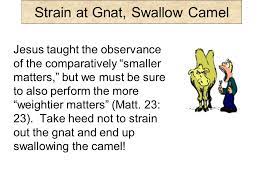 He used to say i strained at a gnat and swallowed a camel. Strain At Gnat Swallow Camel Jesus Spoke Many Famous Sayings That Richly Add To Our Vernacular Today Cp Matt 19 24 24 Ye Blind Guides Which Strain Ppt Download