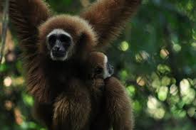 Pin On Travel To Thailand