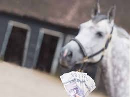 Nine physical and behavioral reasons your horse might be kicking up his heels. The Real Cost Of A Horse Horse And Rider