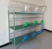 Animal Cage 9/12/18 Cells Commercial Galvanized Rabbit Breeding Cages in  Zimbabwe Kenya