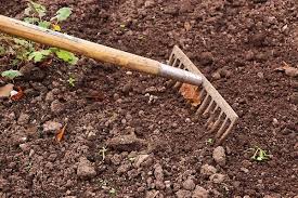 Discover more home ideas at the home depot. Home Gardening Tools And Their Uses Gardening Tips