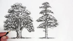 New users enjoy 60% off. How To Draw Trees Simple Art Video Tree Drawing Realistic Drawings Pencil Drawings Of Flowers