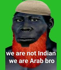 ₮ⱧɆ ₥Ɇ₥Ɇ ₱ł₮