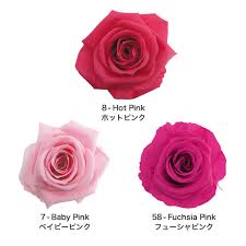 Rose's distinct vocal texture and melodic style draws influence from early r&b and soul legends like donnie. Standard Rose Color Palette Br Pink Mix Fl0101 108 Products Florever Preserved Flowers