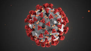 That trend suggests the spread of the virus is not growing, said hogan (r), and social distancing efforts have been working. Gov Whitmer Has Lifted Michigan S Coronavirus Stay At Home Order Michigan Radio