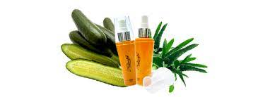 Natasya Herba Herbs Cactus Plants Plants