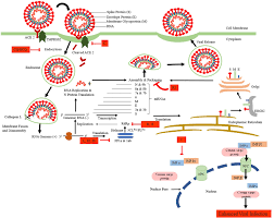 Two of seven critically ill coronavirus patients who were given the drug were taken off pictured: Frontiers Available Compounds With Therapeutic Potential Against Covid 19 Antimicrobial Therapies Supportive Care And Probable Vaccines Pharmacology