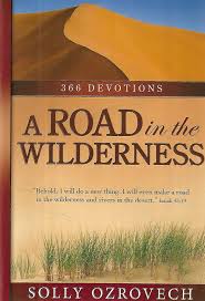 Cover of A Road in the Wilderness - 366 Devotions