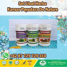 Cara mencegah kanker payudara ternyata mudah. Pelbagai Tanda Tanda Kanser Payudara Lelaki Ubat Kanser Farmasi Punca Barah Malaysia Ubat Barah Berkesan Ubat Kanser Berkesan Punca Kanser