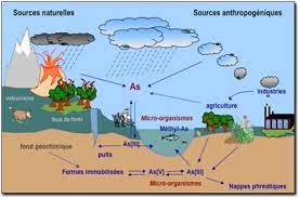 Arsenic