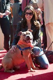 Emmanuelle Vaugier Actress And Animal Activist Love Her Animal Activist Fox Girl Lost Girl