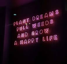 Good vibes quotes are an incredible and interesting way to motivate yourself. 146 Exclusive Good Vibes Quotes To Make You Greatest Bayart