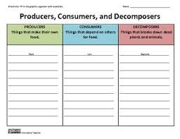 Producers Consumers Decomposers Graphic Organizer Com Imagens Quimica