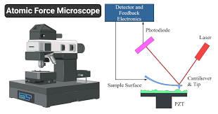 All use the same basic quantum principle but the implementation of the theory of operation is slightly. Atomic Force Microscope Afm Microbe Notes