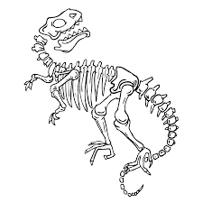Check spelling or type a new query. Bekijk Fossielen En Dino Skeletten 0004 Kleurplaat Skelet Tekeningen Knutselen Dinosaurus Dingen Om Te Tekenen