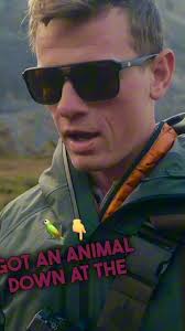 Bear protection ￼￼