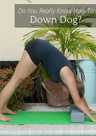 Do You Really Know How To Do Down Dog Getting This Foundational Pose Right Is Crucial Here S How To Master Dow How To Do Yoga Downward Dog Pose Do You Really