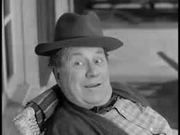 Petticoat Junction Full Length Feature Film, 1963!