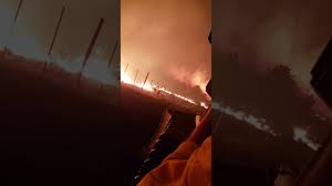A cordon was set up at the scene in station a police cordon was put around flats on station road, clactoncredit: Elk Trapped Against Fence Line Flee Pf Fire In Montana Youtube