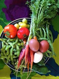 Garden Harvest Photo Contest winners 2015