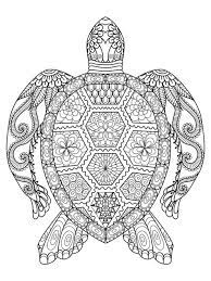 Check spelling or type a new query. Ausmalbilder Schildkrote Mandala Besteausmalbilder De