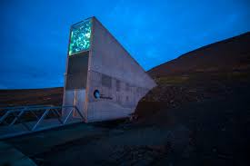Svalbard globale frã¸hvelv) is a secure seed bank on the norwegian island of spitsbergen near longyearbyen storing seeds in the vault is free to end users, with norway and the crop trust paying for operational costs. Svalbard S Doomsday Seed Vault Marks 10th Anniversary With Upgrades To Protect It From Climate Change Arctictoday
