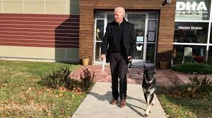 Further details for finalizing an adoption will be discussed after application approval, as we move forward with a potential adoption. Biden S German Shepherd A Rescue Dog To Get Indoguration Npr