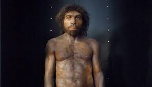Simply so, when was broken hill man discovered? Dating The Broken Hill Skull Homo Heidelbergensis Was Younger Than We Thought Natural History Museum