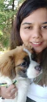 Dog Hotel Home Pet Boarding in Sector 40, Bengaluru