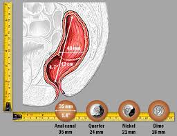 What Are The Causes Of Hemorrhoids And Anal Fissures