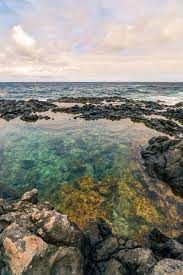 Makapuu Tide Pools Hike Hawaii Beaches Hawaii Ocean Ocean Vibes