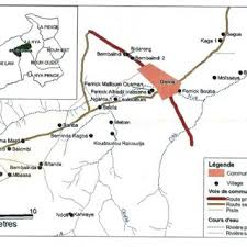 Image result for Ampelocissus multistriata