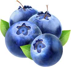 Blueberries Beautiful Fruits Round Stickers Wall Art Canvas Prints
