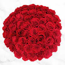 Same day delivery & 20% off! Costco Is Selling 50 Red Roses For Just 40 For Valentine S Day