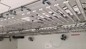 Find the right place on the ceiling. Innovative Adjustable Height Grow Lights For Cannabis Lift And Grow