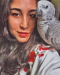 Thank you for adding me to your group, first time bird owners