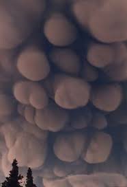 #mammatus clouds #aurora borealis #northern lights #lightning time lapse #suspiciously low funnel cloud #i am a wild weather junkie #biscuit talk #also northern lights are impossible to photograph in. 45 Best Mammatus Clouds Ideas Mammatus Clouds Clouds Sky
