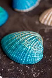 Muscheln werden gerne als schmuckartikel oder für windspiele verwendet. Diy Muschelkette Mit Metalliceffekt