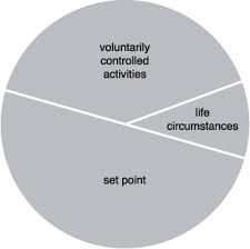 pie chart designing happiness