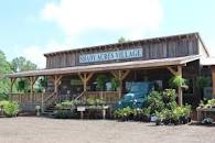 Image result for Shady Acres