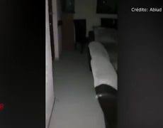 Zoechip is a free movies streaming site with zero ads. Gabriela Hernandez Guerra Videos Metatube