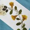 Greeting card made with real dried and pressed flowers. Https Encrypted Tbn0 Gstatic Com Images Q Tbn And9gcr6ggw1ld Mrxl1eme1kifupfpfrak4t03p94 Voprf5ssakrb Usqp Cau