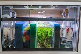 This is a diy sump filtration system for freshwater as well as marine aquariums,this type of filter can handle large amounts of bio loads,can be easily built by a hobbyist with only a hand full of tools. Detailed Information On A Freshwater Sump Plus Bonus Diy Stand Diy Sump Diy Aquarium Filter Diy Aquarium