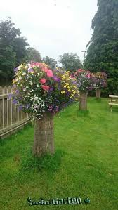 20 idee per creare una fioriera da un vecchio tronco tree stump planter garden yard ideas tree planters tree stump planter tree planters garden yard ideas