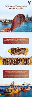 Bahkan indonesia yang notebene sebagai negara berkembang ternyata masuk toyota corolla altis di malaysia dijual dengan harga termurah rm 120,000 atau setara dengan rp 409 jutaan. Untung Kencang Daun Ketapang Validnews Id